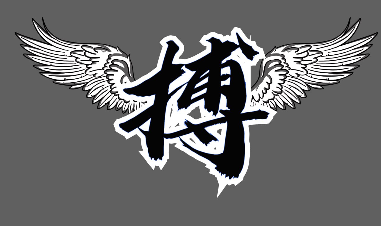 河南翼搏网络科技有限公司