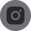 ins