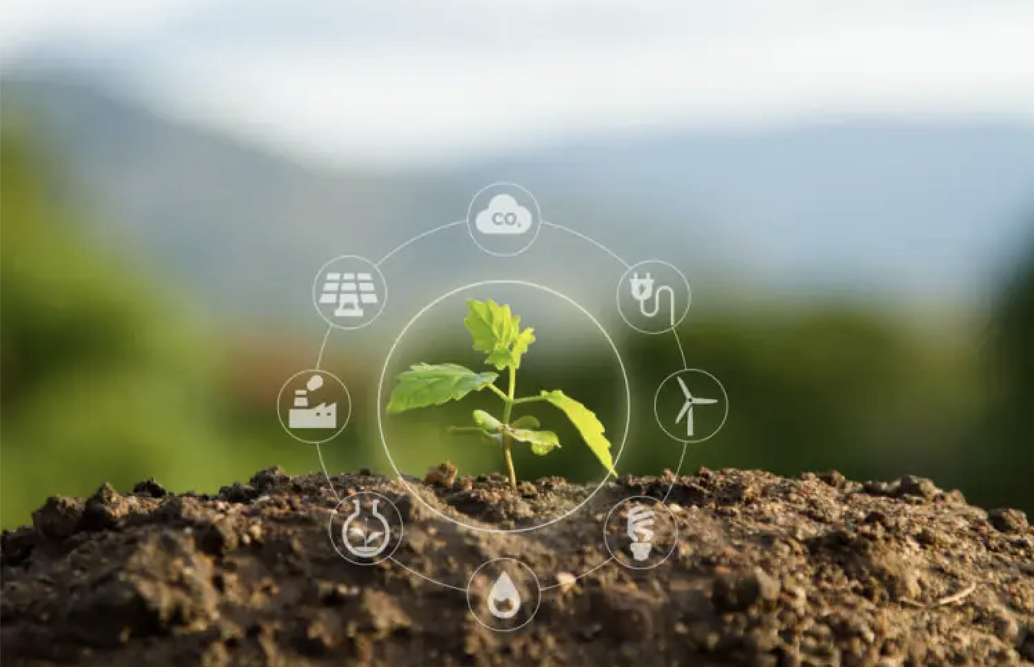 Emerging Jobs and Skill Demands in the Green Economy Transformation5ejaz9936t