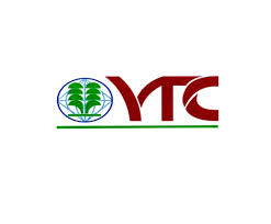 Pembinaan Yeng Tong Sdn. Bhd