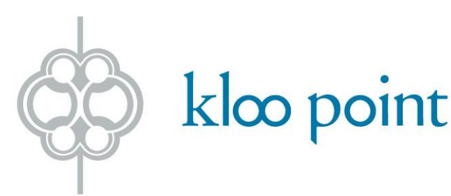Kloo Point Consulting Group 
