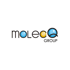 MolecQ Group