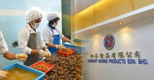 Office Environment - 1