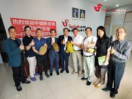 Office Environment - 1