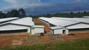 Office Environment - 1