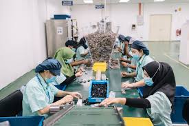 Office Environment - 1