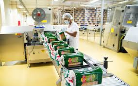 Office Environment - 1