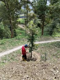 Office Environment - 1