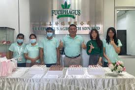 Office Environment - 1