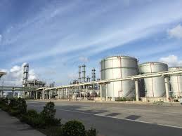 Office Environment - 1