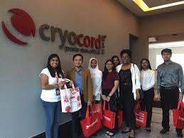 Office Environment - 1