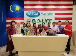 Office Environment - 1