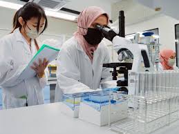 Office Environment - 1