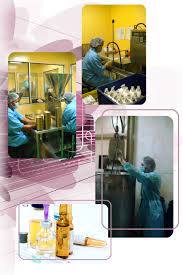 Office Environment - 1