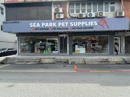 Office Environment - 1