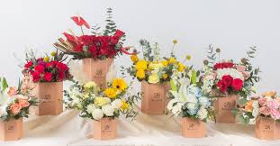 Office Environment - 1