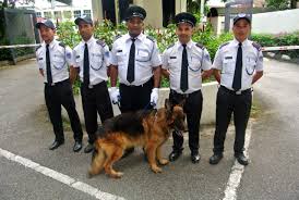 Office Environment - 1