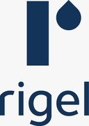 Rigel Technology (Malaysia) Sdn Bhd